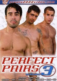 Perfect Pairs 3