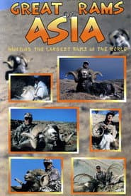 Great Rams of Asia