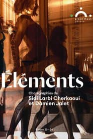 Elements Sidi Larbi Cherkaoui with Damien Jalet and Marina Abramovic
