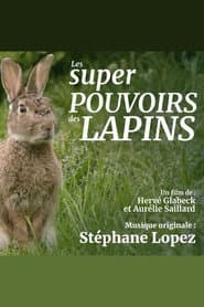 Les super pouvoirs du lapin