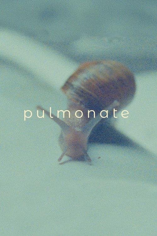 Pulmonate
