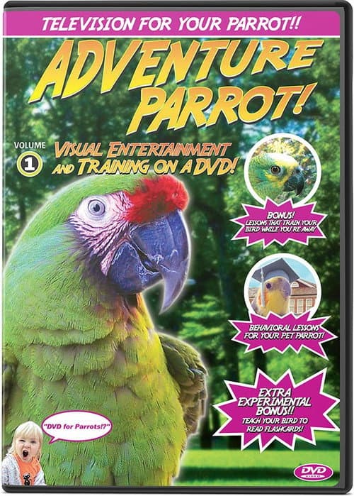 Adventure Parrot!