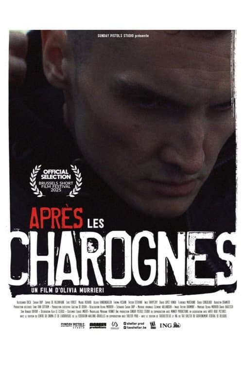 Après les charognes