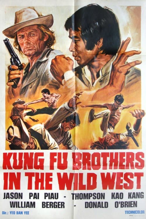 Kung Fu Brothers in the Wild West