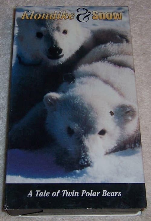 Klondike & Snow: A Tale of Twin Polar Bears