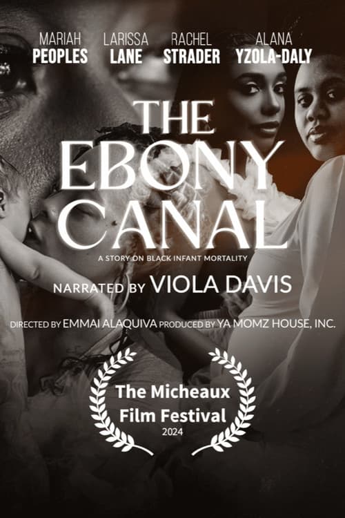 The Ebony Canal: A Story of Black Infant Mortality