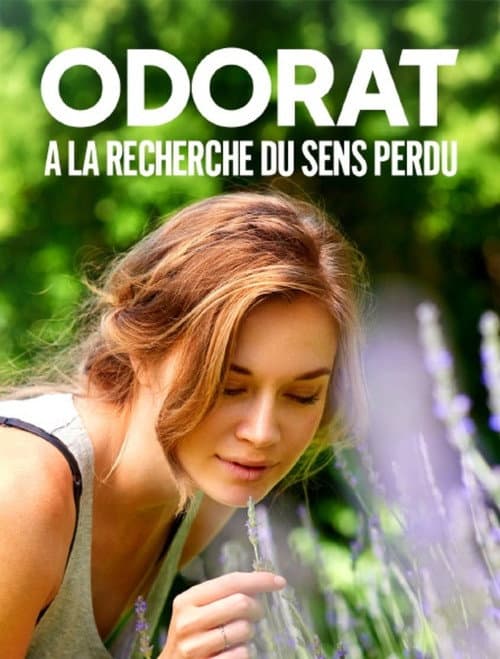 Odorat : à la recherche du sens perdu
