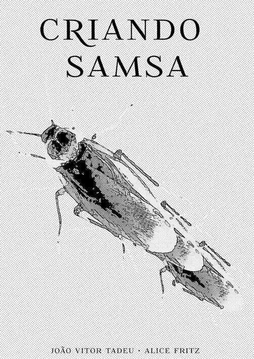 Making Samsa