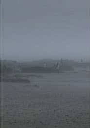 The Fog Has Covered The Moment Again