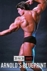 Arnold's Blueprint