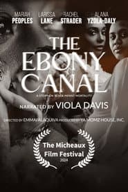 The Ebony Canal: A Story of Black Infant Mortality