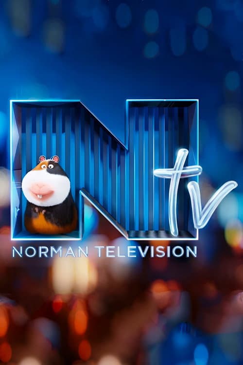 Norman Television
