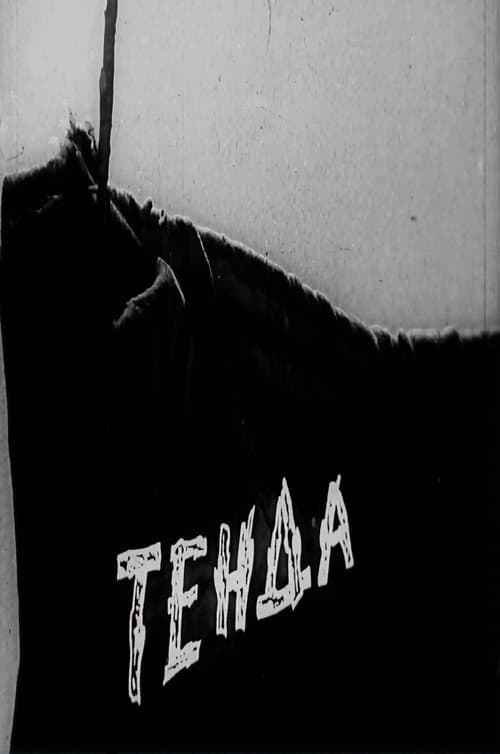 Shelter
